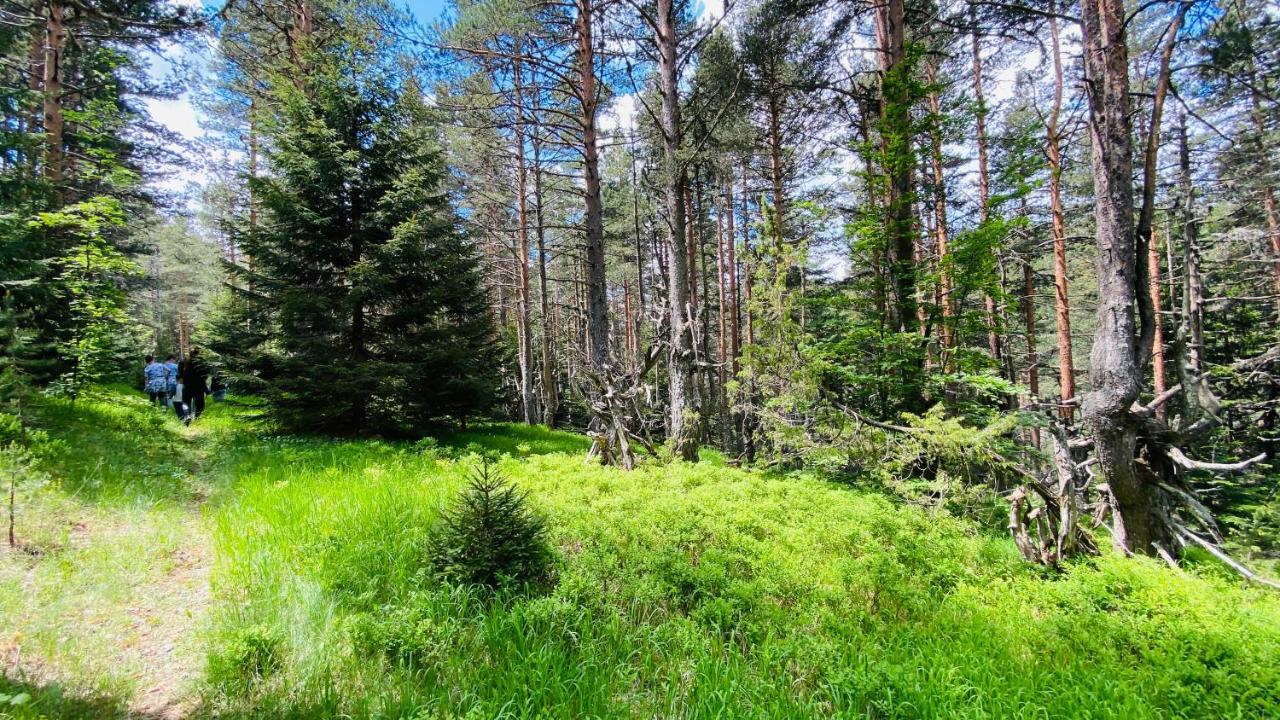 Eco Village Pavlovic Žabljak Eksteriør billede