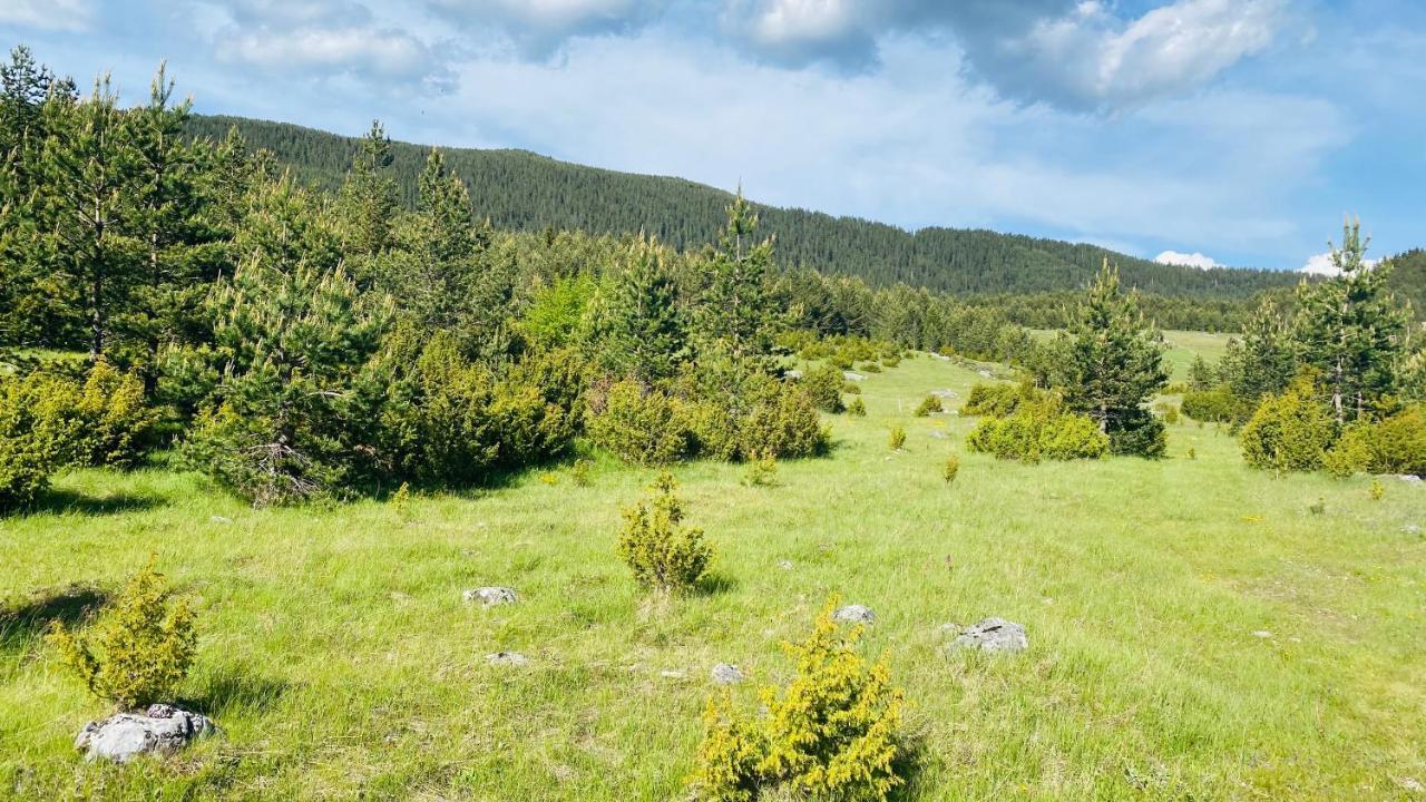 Eco Village Pavlovic Žabljak Eksteriør billede
