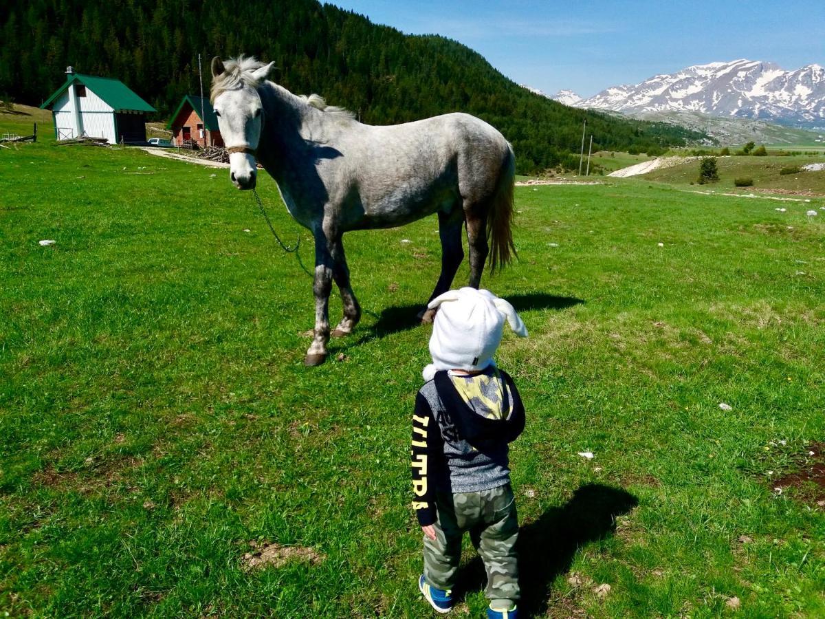Eco Village Pavlovic Žabljak Eksteriør billede